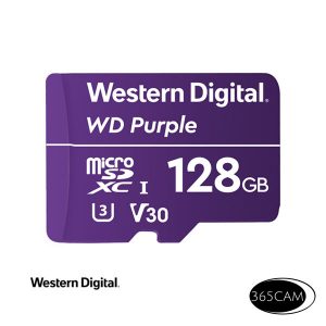 Western Digital 128Gb 