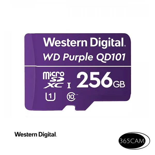 Western Digital WD256GBMSD