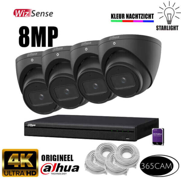 8MP set in de kleur zwart met 4 cameras