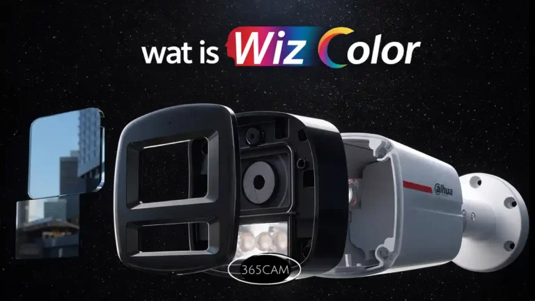 Wat is Wizcolor